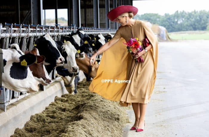 Queen Maxima and King Willem-Alexander visited the diary farm of the family Riedstra-Hoving ADEL ROYALS MONACHY KONIGLICH ROYAUX ROYALTY QUEEN PRINCESS KING PRINCE © RHC by Nieboer/PPE.ADEL ROYALS MONACHY KONIGLICH ROYAUX ROYALTY QUEEN PRINCESS KING